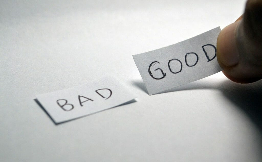 Good Bad Opposite Choice Choose  - Ramdlon / Pixabay