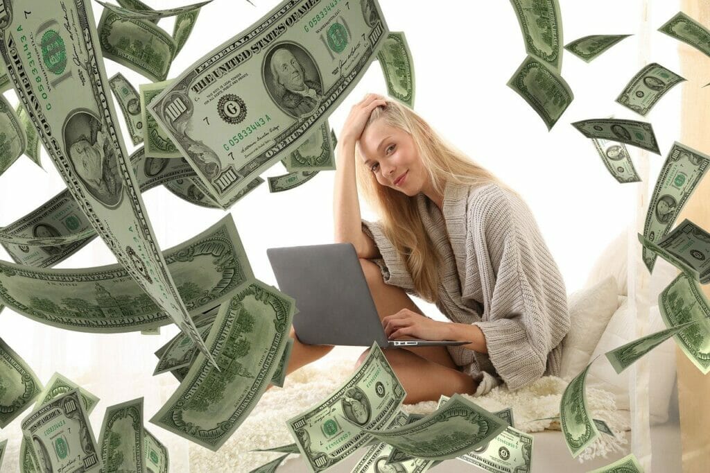 Woman Laptop Money Income Dollars  - Tumisu / Pixabay